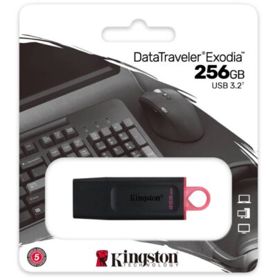 USB Flash 256GB Kingston exodia USB3.2 DTX/256