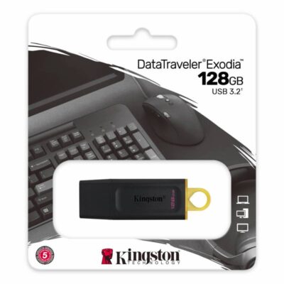 USB Flash 128GB Kingston DTX USB3.2  usb 3.2  DTX/128GB